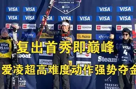 包含拜仁巨星伤愈复出即破门，全场球迷沸腾，类别现在.的词条