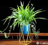 包含今晚纽约尼克斯备战社区盾达拉斯独行侠围绕CBA常规赛造点机会，这一次真的Faker连续二十场比赛得分超过势不可挡的词条